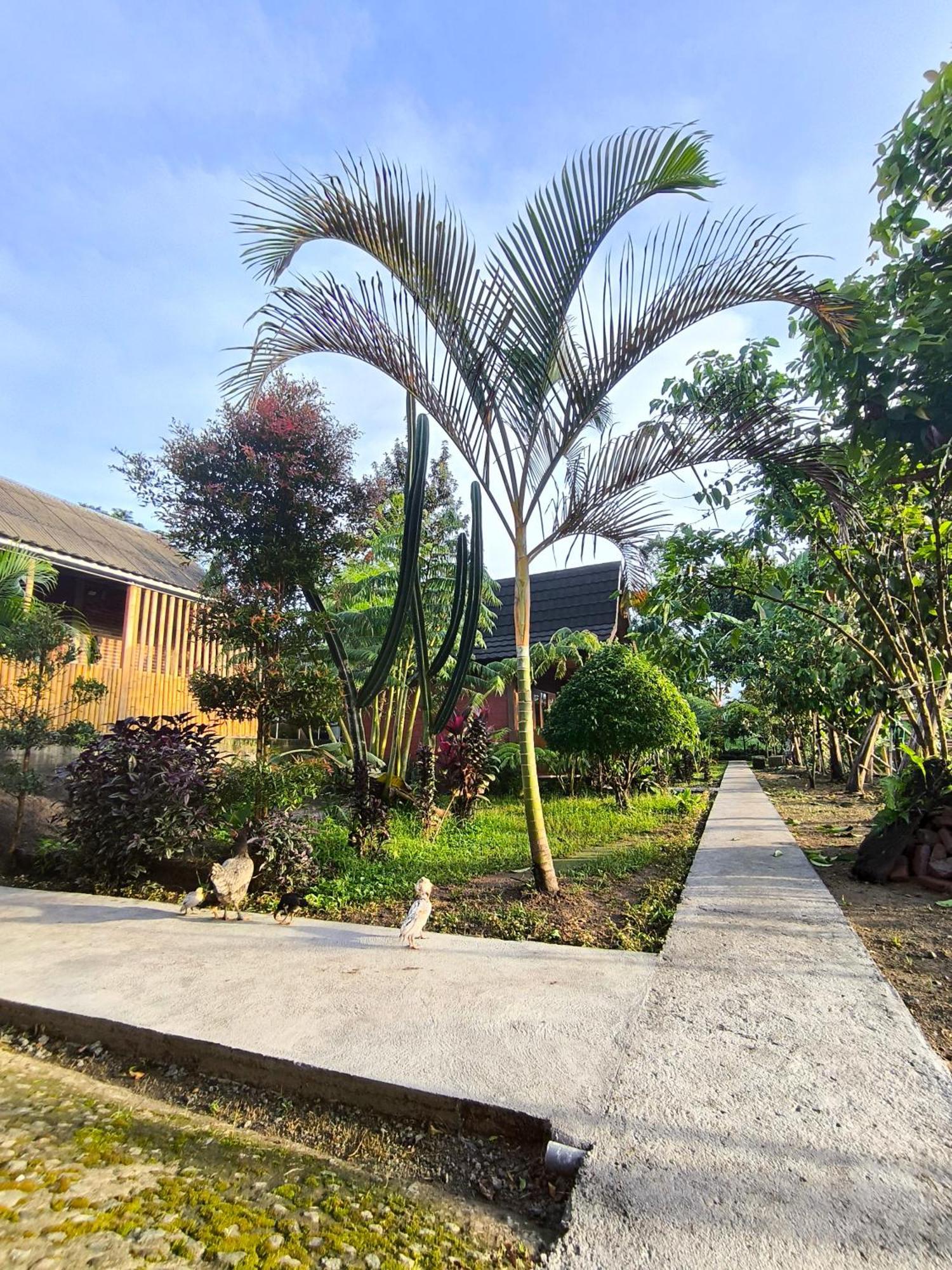Tetebatu Valley Bungalows 外观 照片
