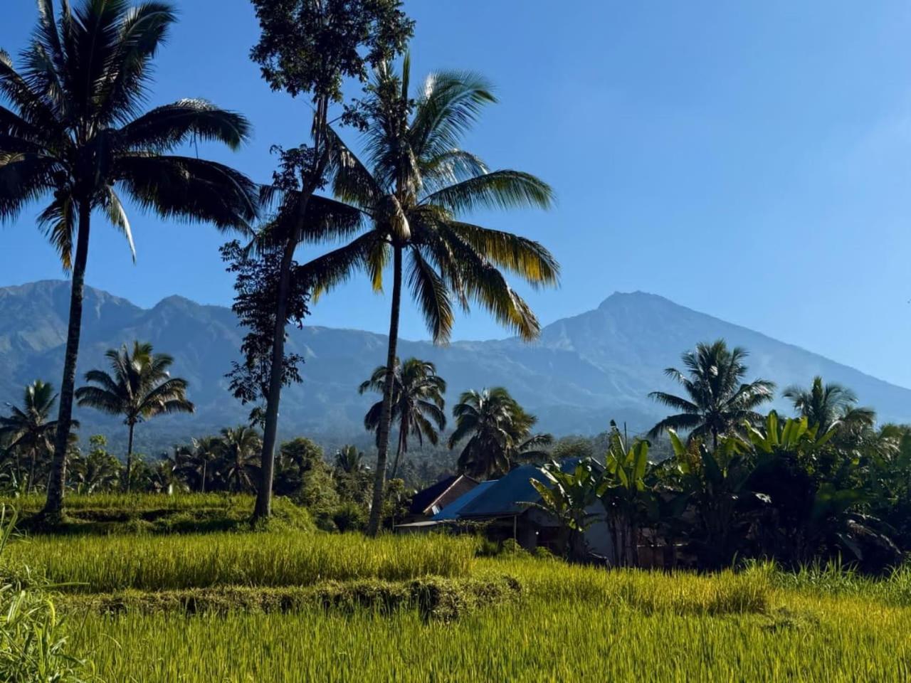 Tetebatu Valley Bungalows 外观 照片
