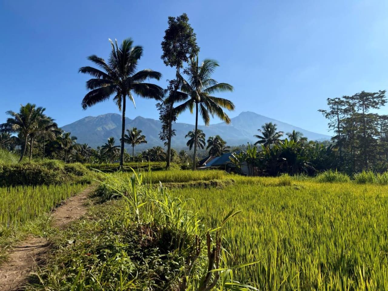 Tetebatu Valley Bungalows 外观 照片